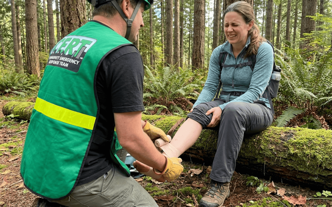 CERT Triage